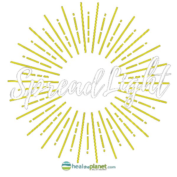 Spread light transp Thumbnail